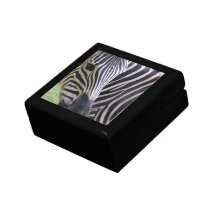 Zebra  Gift Box