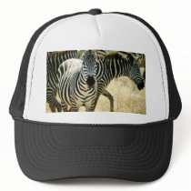 Zebra Hat