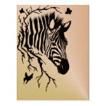 Zebra Head Design Postcard