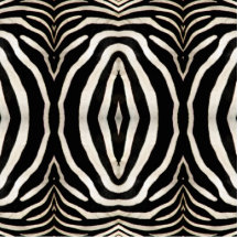 Zebra Hide Photograph Photo Cutouts