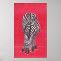 Zebra in red posters