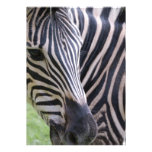 Zebra Invitation