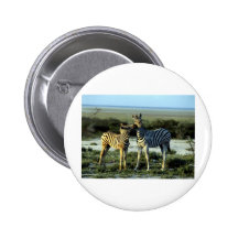 Zebra Kissing Button