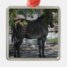 Zebra Love Ornament