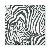 Zebra Magnet