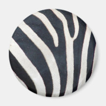 Zebra Magnet
