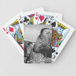 Zebra mom and baby in South Africa Playing Cards