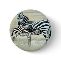 Zebra Mother and Feeding Foal Pinback Button