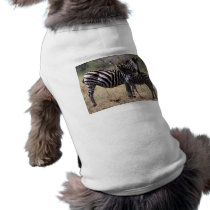 Zebra Mother and Foal Dog Tshirt