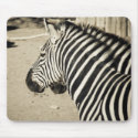 Zebra mousepads