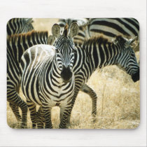 Zebra Mousepad