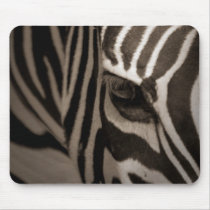 Zebra Mouse Mats