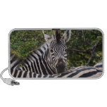Zebra Mp3 Speakers