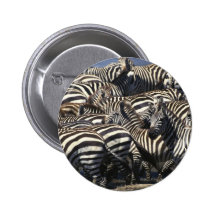 Zebra Pack Pins