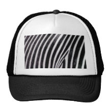 Zebra Pattern love_ Mesh Hat