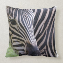 Zebra Pillow  