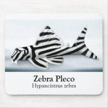 Zebra Pleco Mousepad