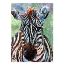 Zebra Portrait ACEO ArtCard Business Card Template