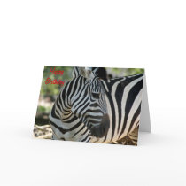 Zebra Pose Birthday Card