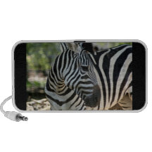 Zebra Pose Doodle Speaker