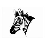 Zebra Post Card
