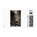 Zebra postage