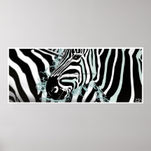 Zebra Posters