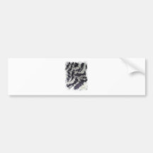 Zebra print with a twist bumper stickers