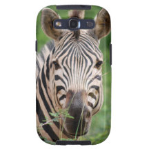 Zebra profile galaxy SIII cover