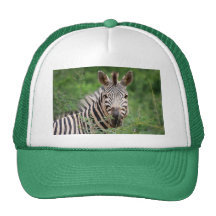 Zebra profile mesh hat