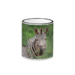 Zebra profile mugs
