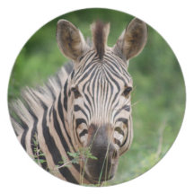 Zebra profile party plate