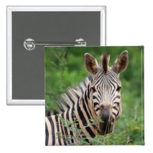 Zebra profile pins