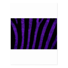 Zebra Skin Postcard