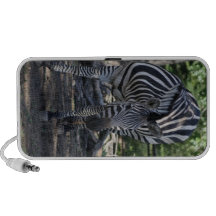 Zebra Speaker