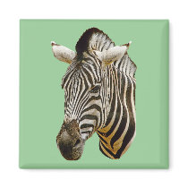 Zebra Square Magnet