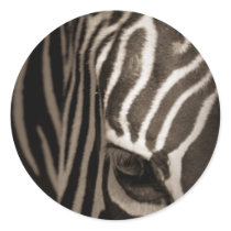 Zebra Stickers