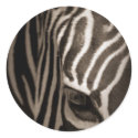 Zebra stickers