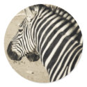 Zebra stickers