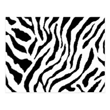 Zebra Striped Postcard