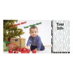 Zebra Stripes Photo Cards