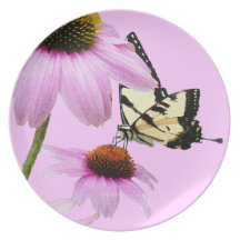 Zebra Swallowtail Butterfly Plate