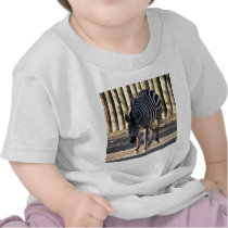 Zebra T-shirts