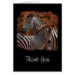 Zebra Thank You Cards