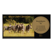 Zebra travel agencies, safari lodges, zoologists photo card template