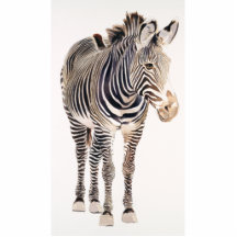 "Zebra" Watercolor Wildlife Art Photo Cutout