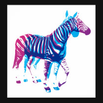 Zebras - Blue & Purple posters