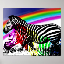 Zebras ' dream comes true