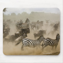 zebras (Equus burchelli) and wildebeest Mousepad