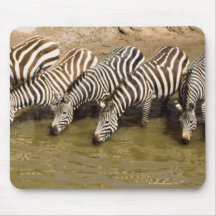 Zebras (Equus quagga) drinking from Talek River, Mouse Pads